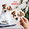 3x autocolante personalizado para o seu animal de estimação